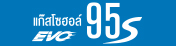 Gasohol 95 S EVO